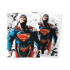 dragon-shield-standard-brushed-art-superman-100-sleeves